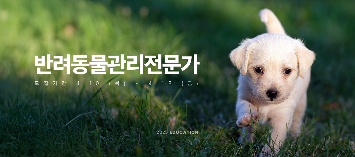 반려동물 관리양성과정