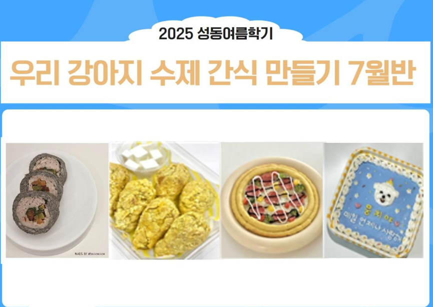 https://www.50plus.or.kr/sdc/education-detail.do?id=49770007