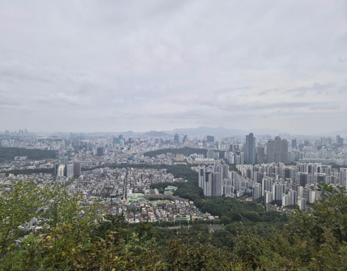 KakaoTalk_20251003_031402764_05.jpg
